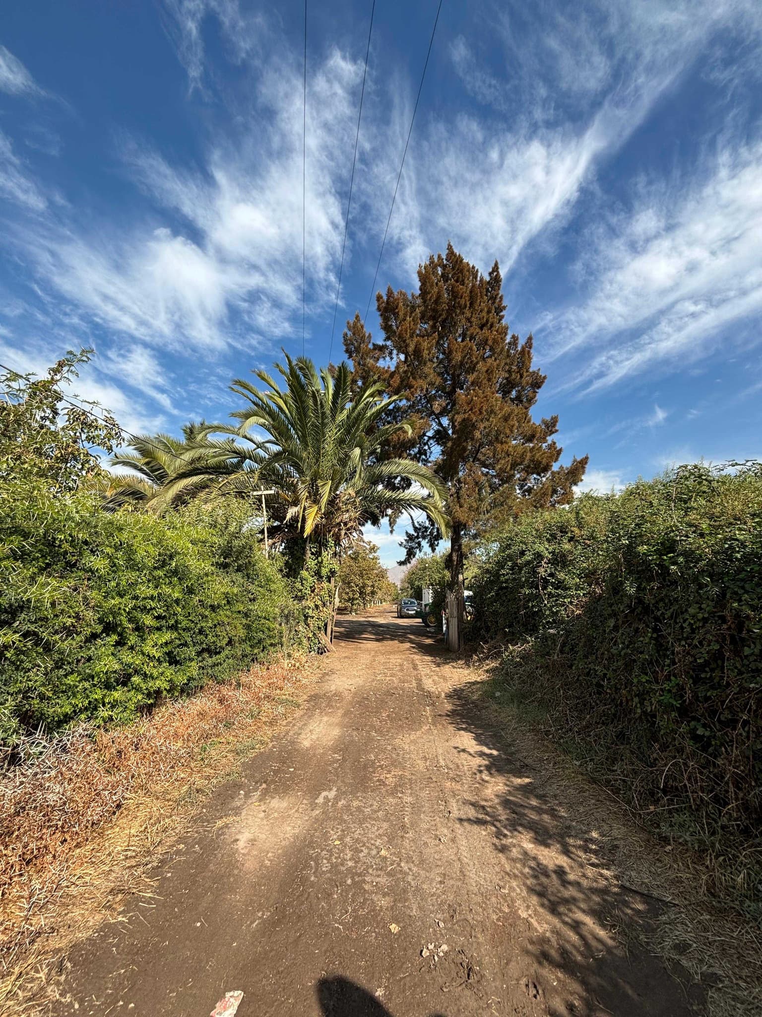 Oportunidad única de inversión o vivienda (72297)