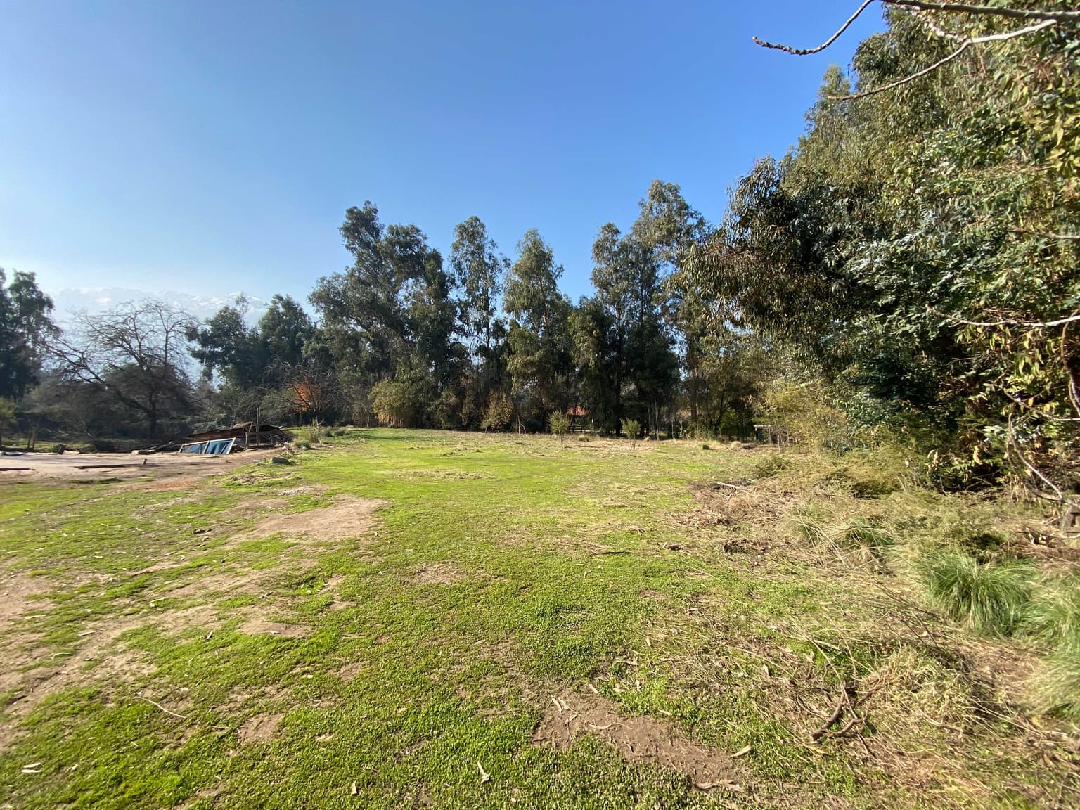 Las Vizcachas 5.000 m2 Rol Av Central (122596)