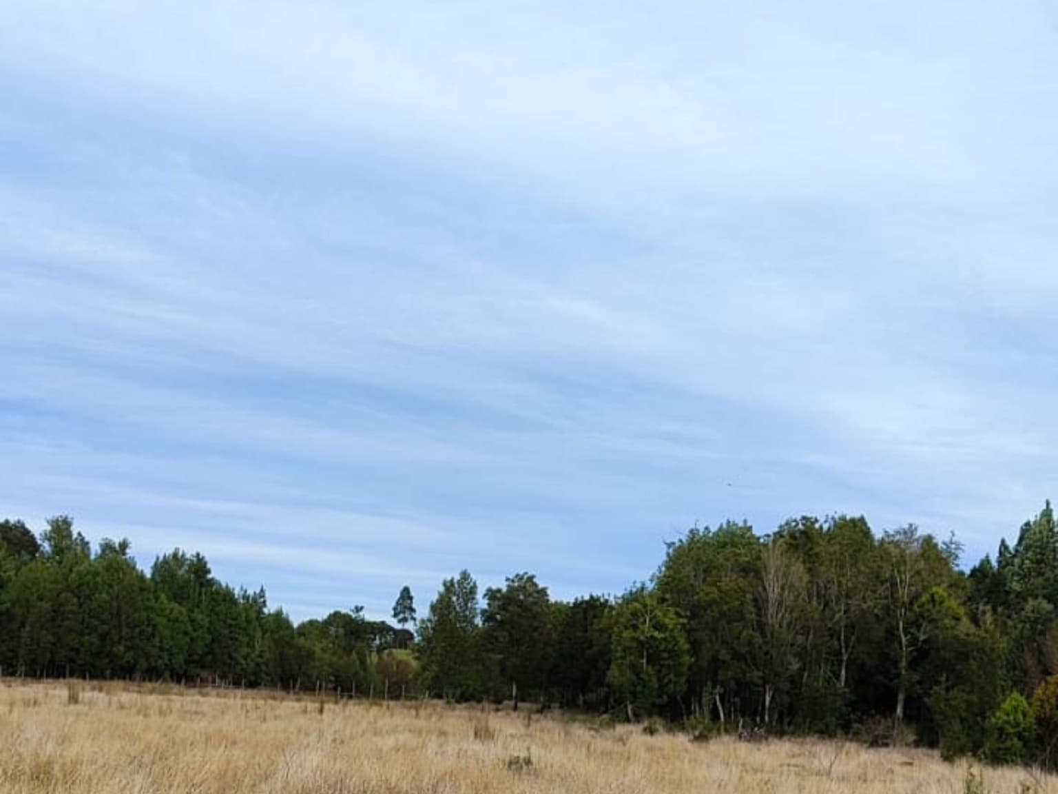 Hermosa parcela junto al río en Panitao (68688)