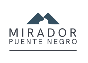 Vista Puente Negro SpA logo