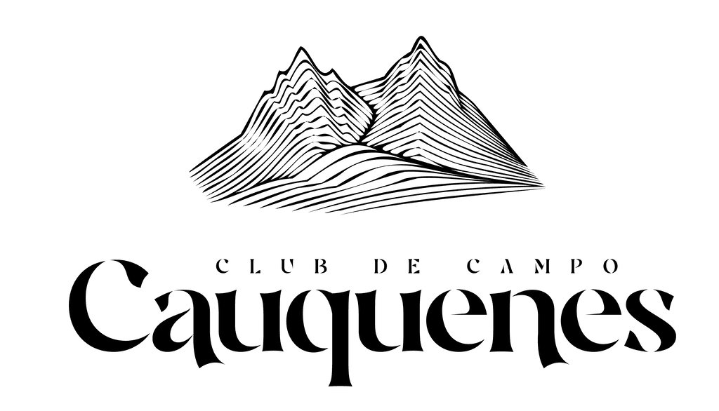 Caballos Salvajes SpA logo