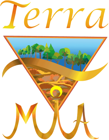 Solange Walker Gaete logo