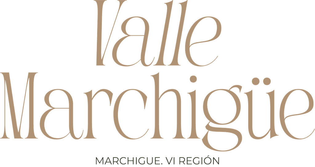 Inmobiliaria Toscana SpA logo