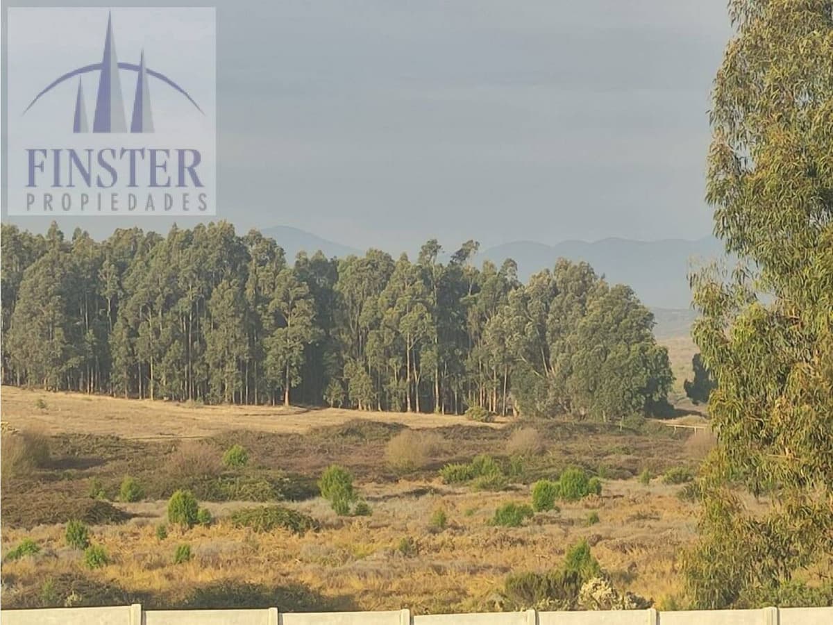 Camino Quintero Ritoque