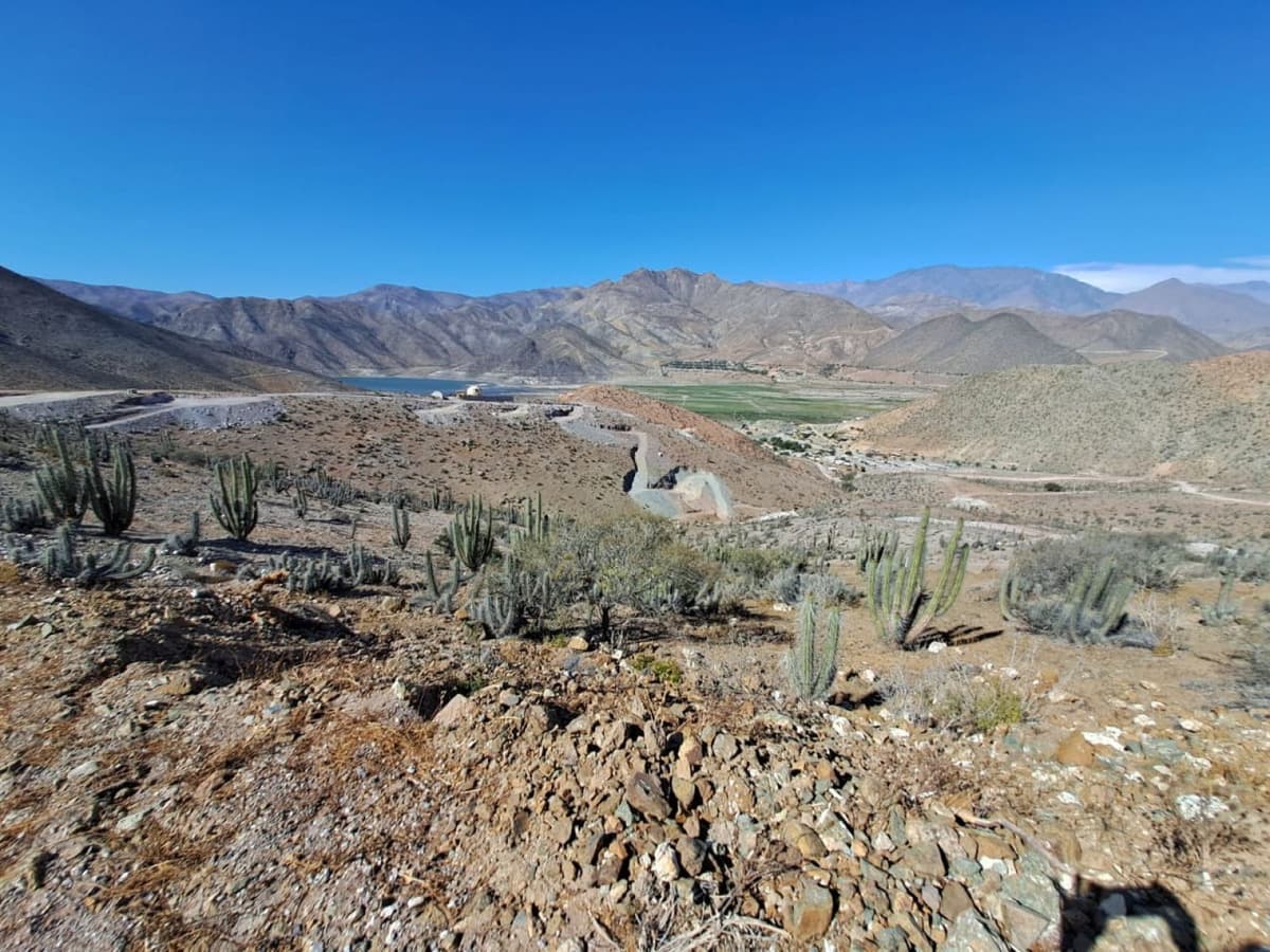 Los Algodones, Vicuña, Coquimbo, Chile