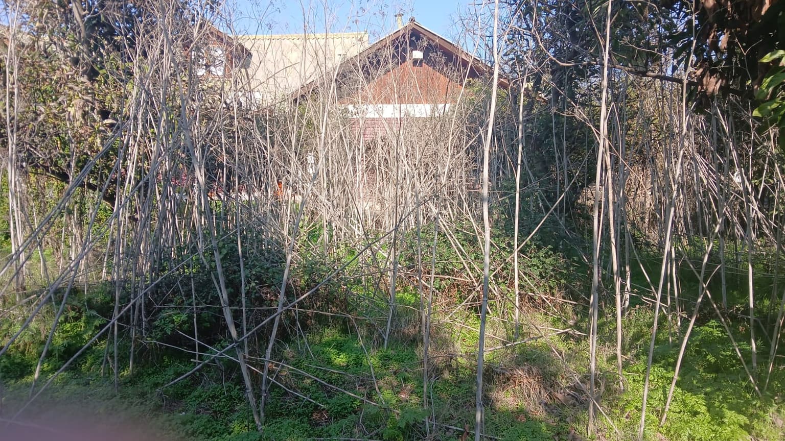 Eliodoro Yáñez 13-A, San Bernardo, Santiago Metropolitan Region 8050000, Chile