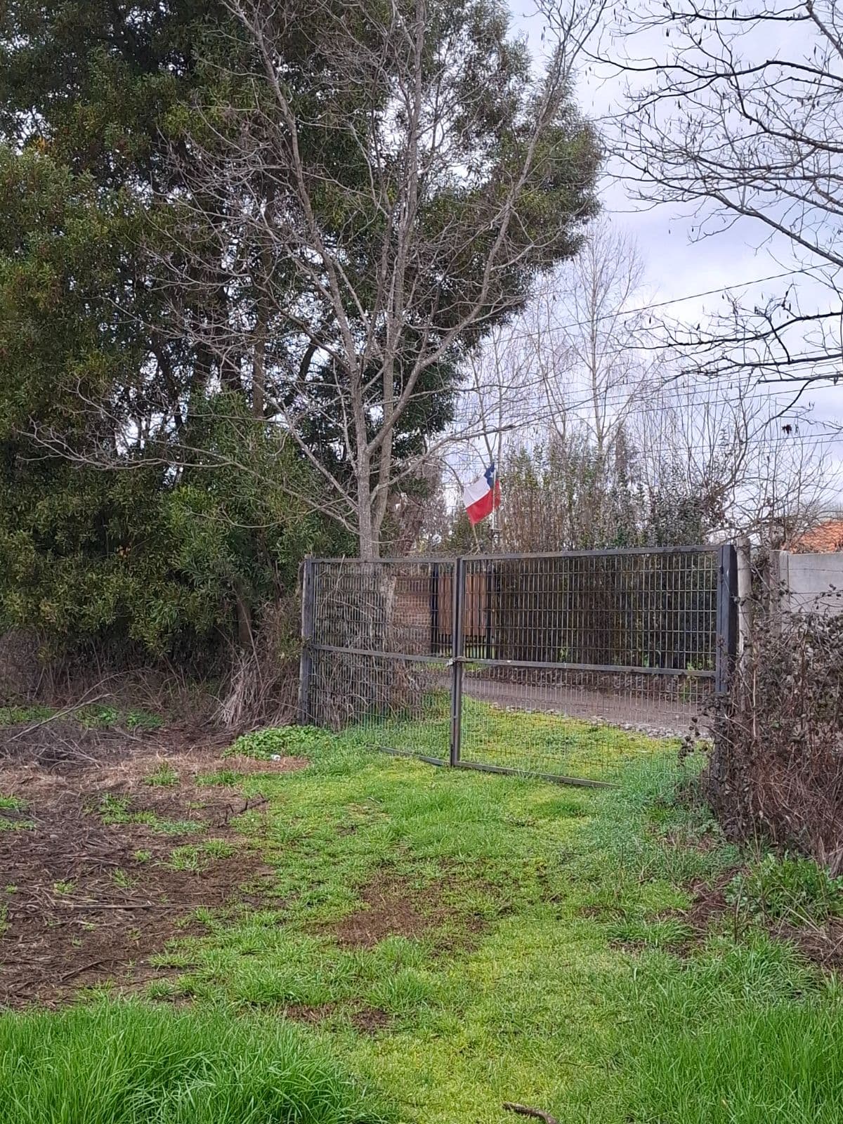 Ruta L-191, Villa Alegre, Región del Maule 3650000, Chile