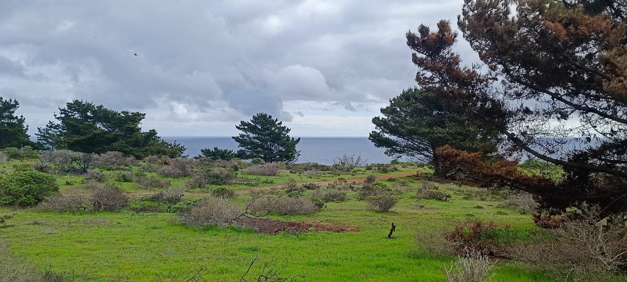 Camino Al Faro, Valparaíso, Valparaíso 2340000, Chile