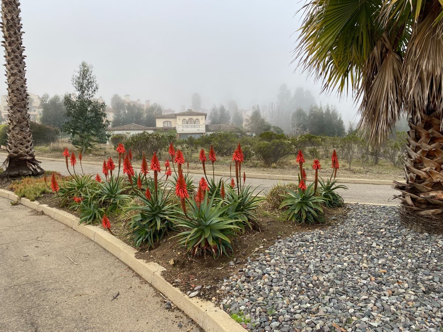 Quintay, Casablanca, Región de Valparaíso, Chile