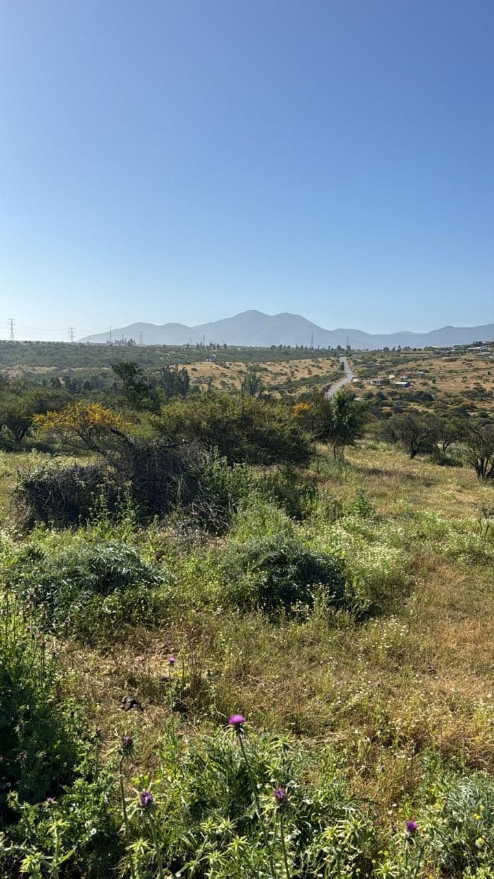 Camino Los Laureles, Limache, Valparaíso 2240000, Chile