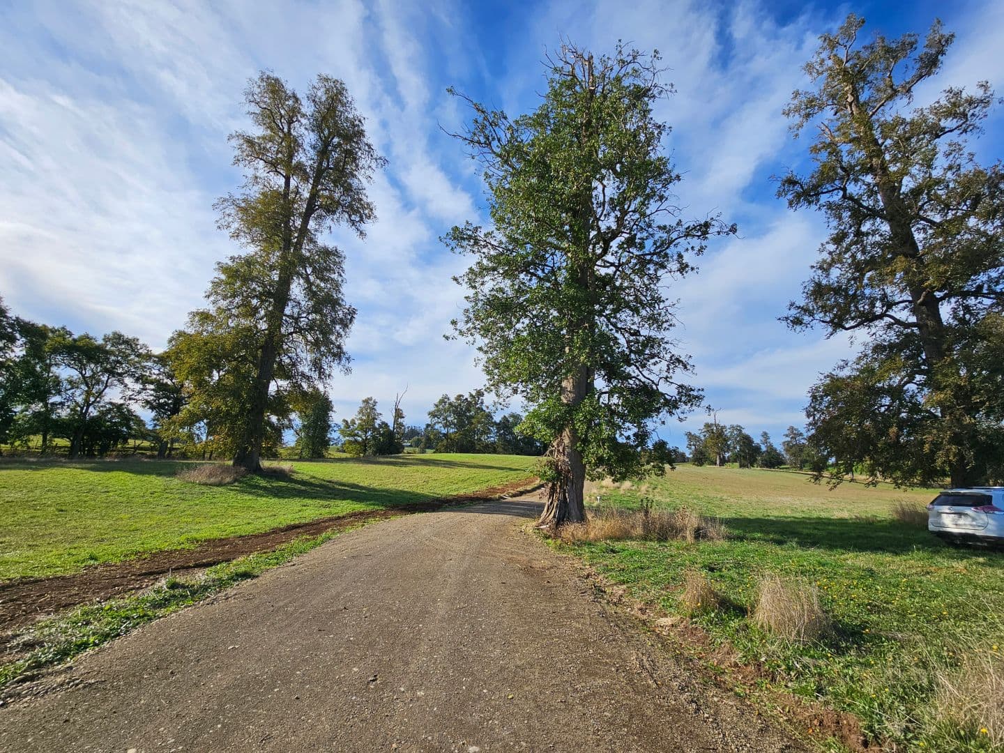 Avenida Padre Alberto Hurtado, Río Negro, Los Lagos 5390000, Chile