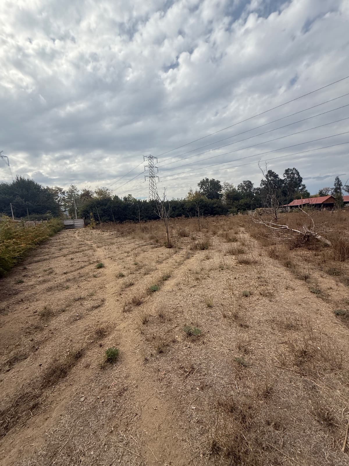 Mostazal, Región de O'Higgins, 2890000, Chile