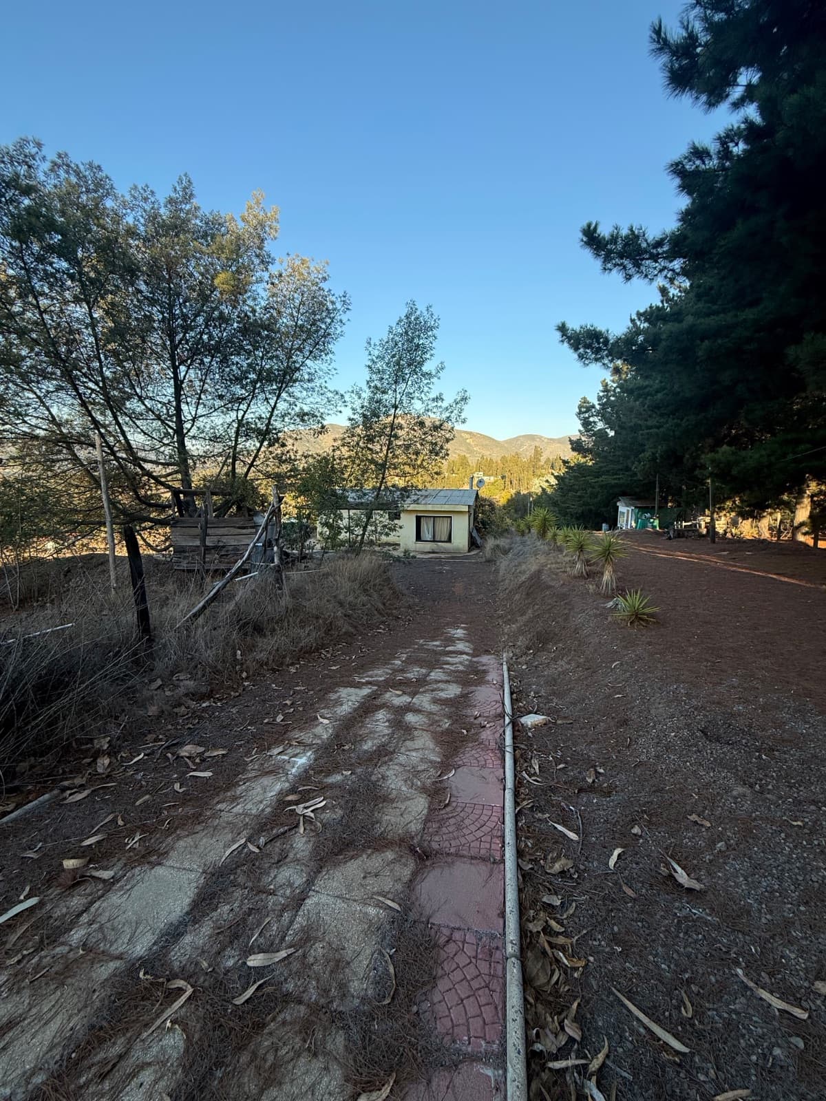 Campo más 1, MANTAGUA,, Concón, Región de Valparaíso 2510000, Chile