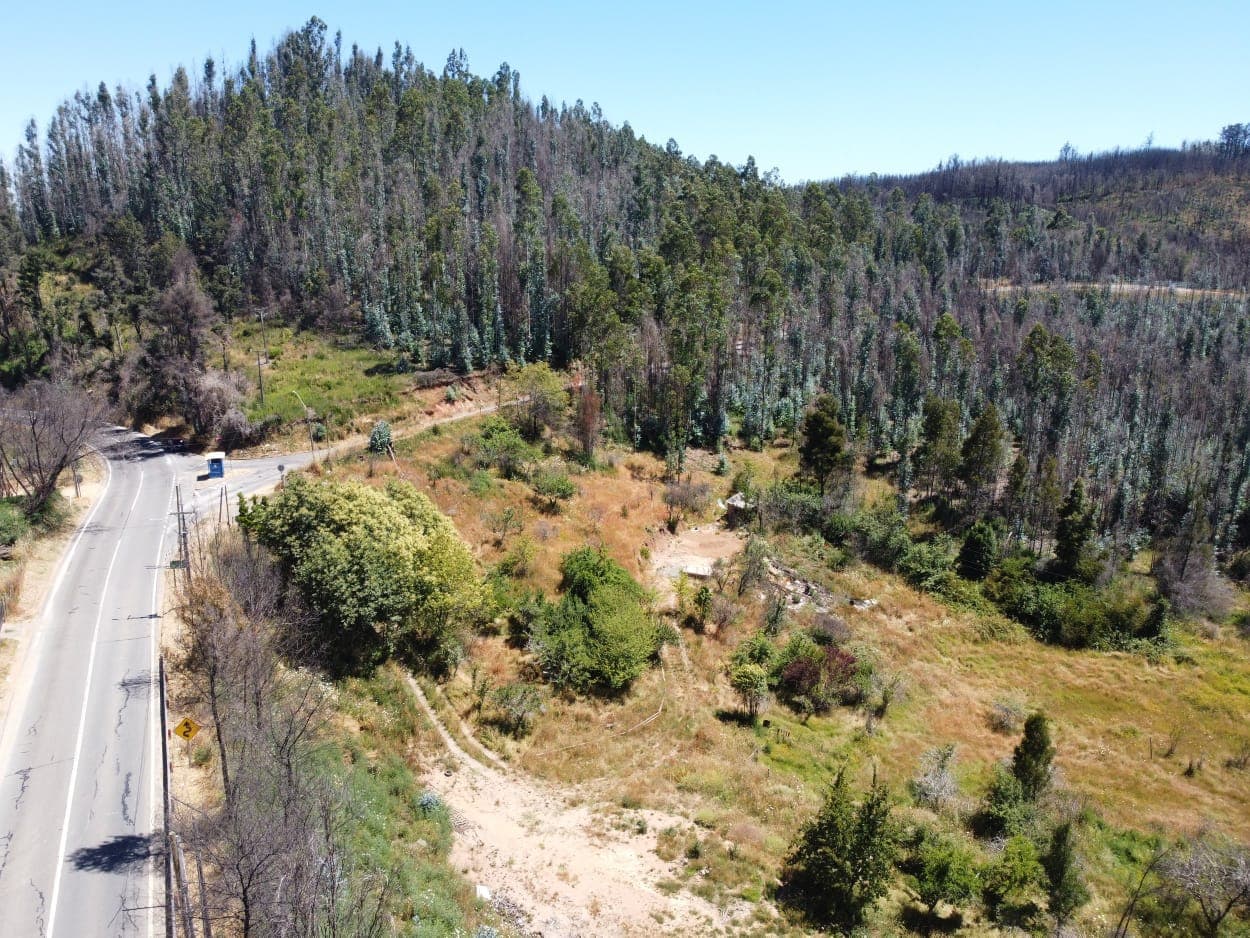 Ruta O-298, Tomé, Biobío 4160000, Chile