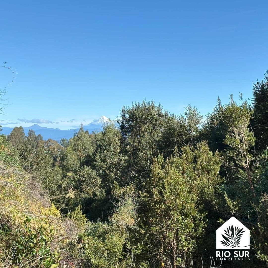Puyehue, Los Lagos, 5360000, Chile