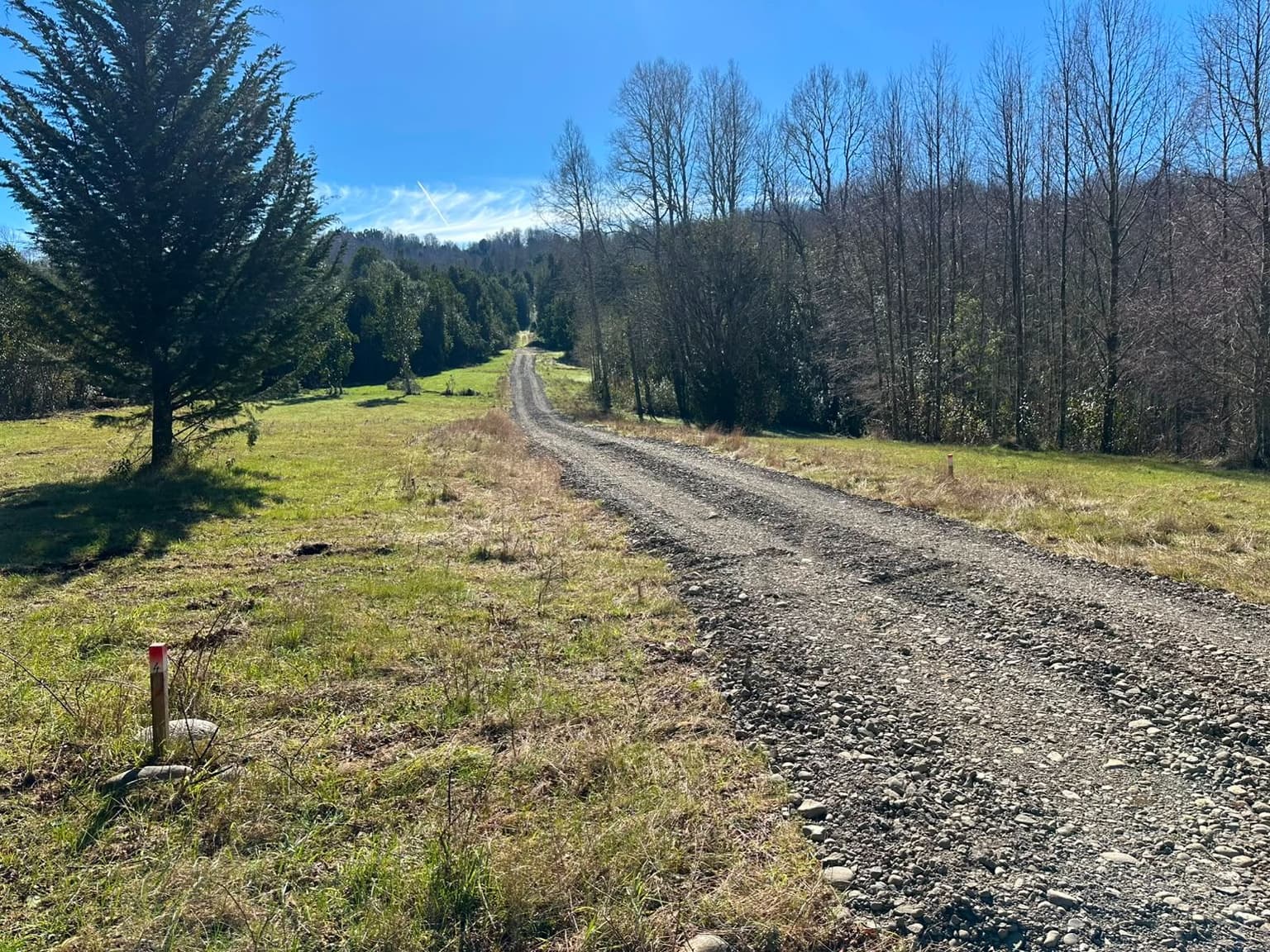 Ruta S-749, Villarrica, Araucanía 4930000, Chile